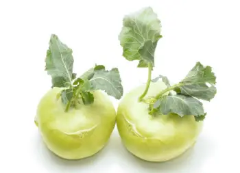 콜라비 효능과 영양성분, 주의점