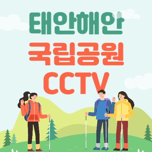 태안해안국립공원 학암포 CCTV