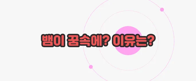 뱀 나오는 꿈 지금부터 들여다보죠