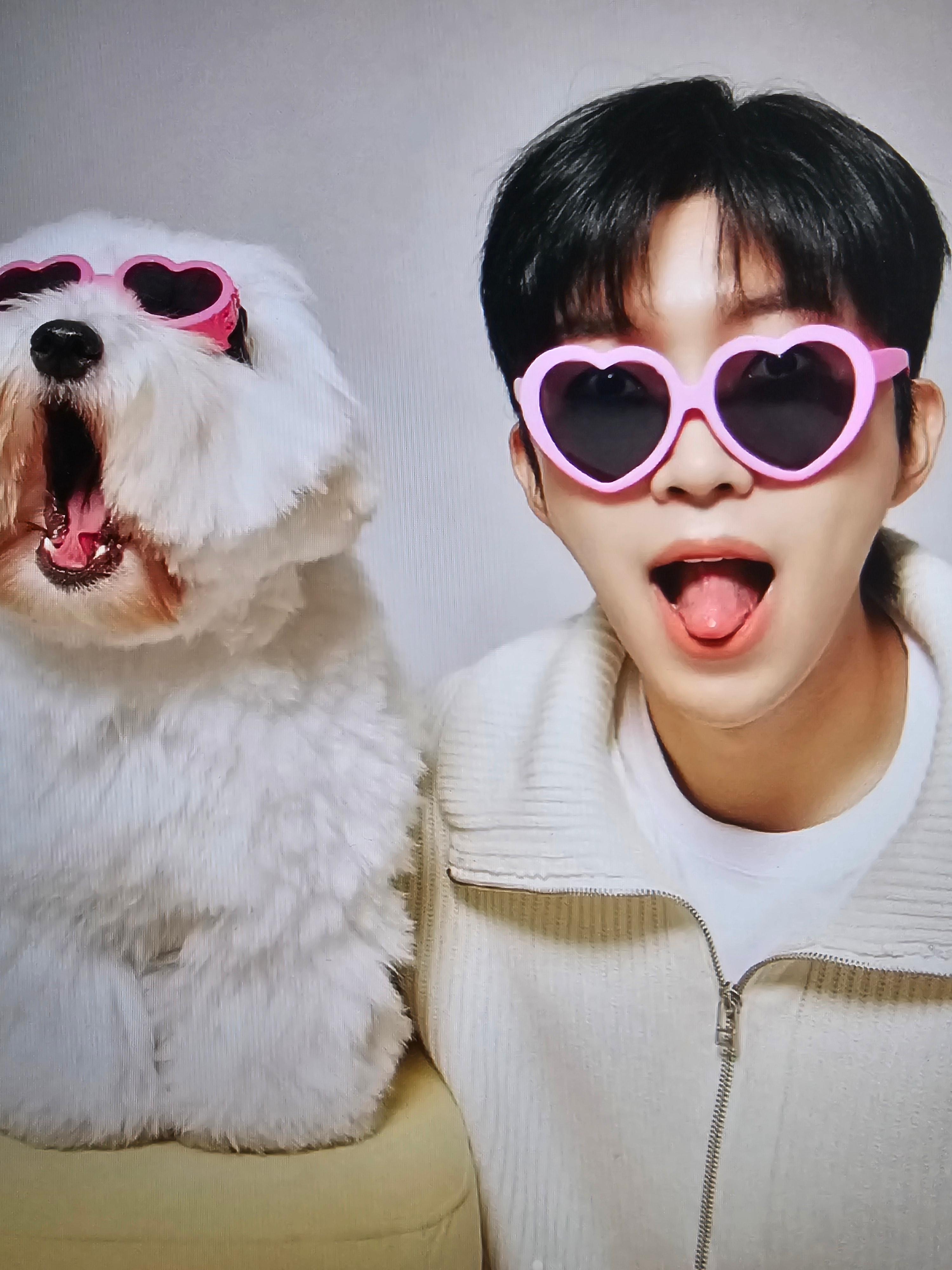 임영웅 노래모음