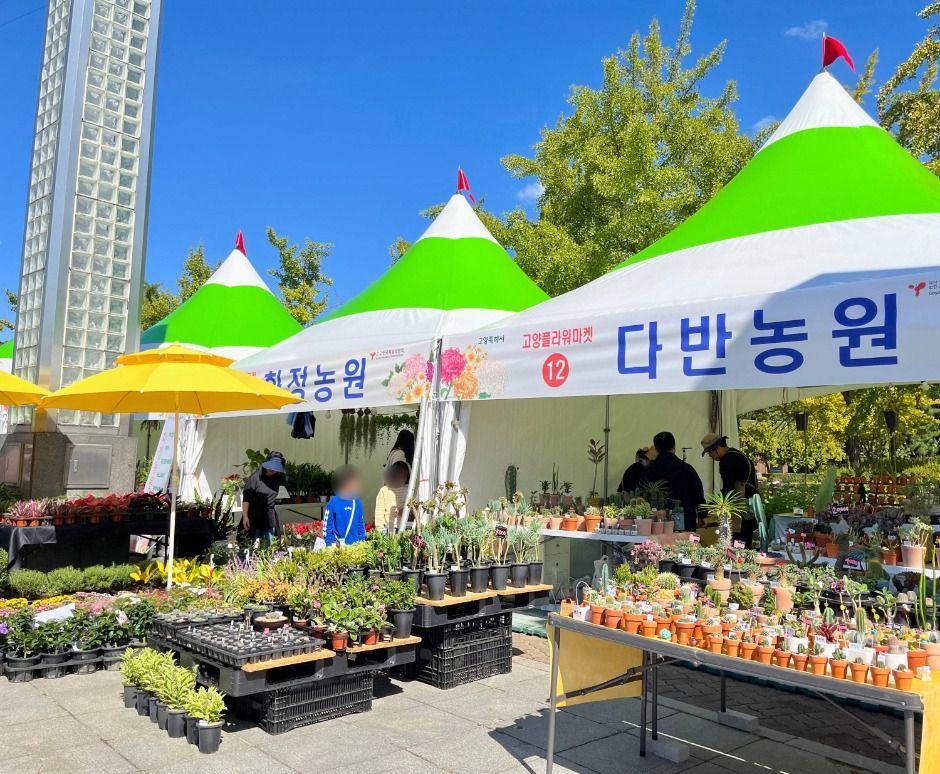 고양가을꽃축제