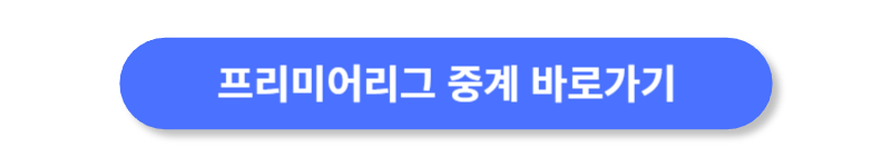 버튼