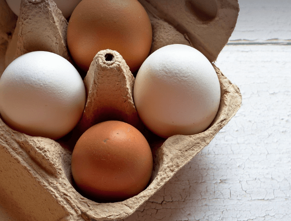 눈 떨림에 좋은 음식