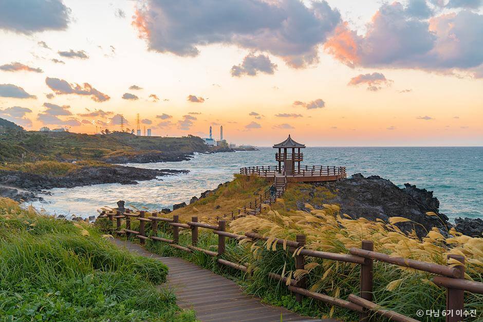 가을 여행지 제주도 은빛 물결 억새 추천 장소