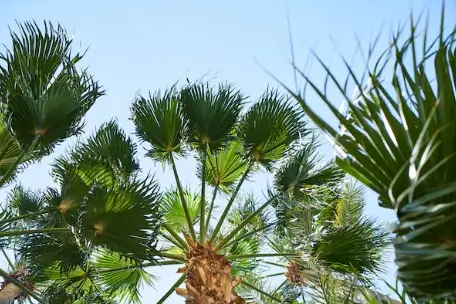 한국인이 많이 찾는 겨울 해외여행지