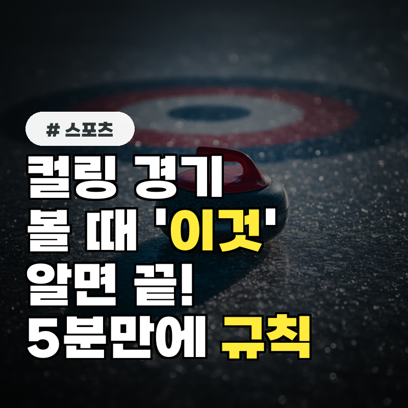 컬링 경기 볼 때 '이것'만 알면 끝! 5분 만에 배우는 규칙