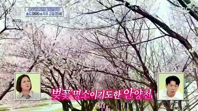 구해줘홈즈 양세찬 쏠 군포시 금정동 슬세권이 좋아쏠 하우스 매물 가격 및 구조 인테리어 리모델링 최종선택 소개 다시보기