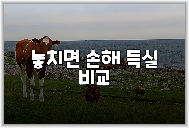 놓치면 손해 득실 비교