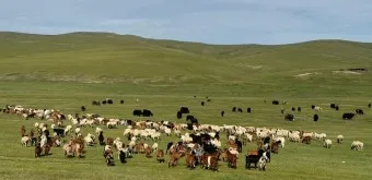 몽골 여행 날씨 필수 준비물_4