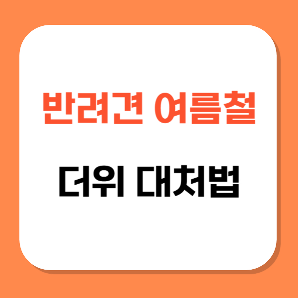 반려견 여름철 더위 대처법 관련 사진