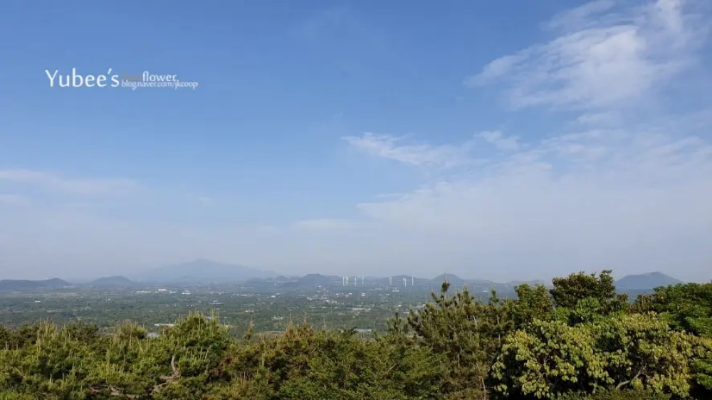대수산봉 정상에서 본 한라산