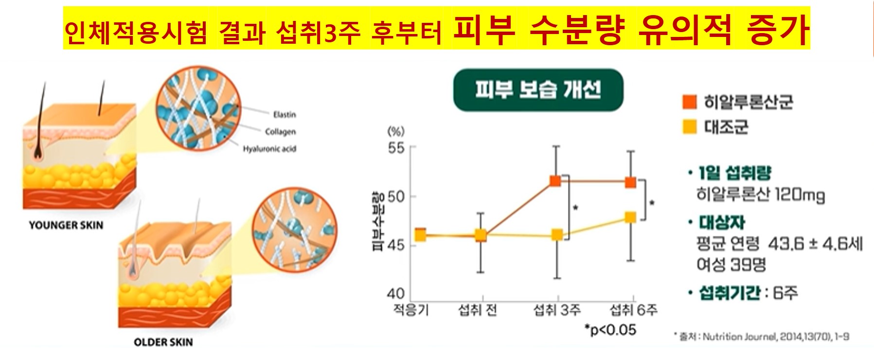 단백질