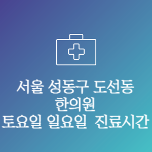 서울 성동구 도선동 한의원 주말 토요일 일요일 문여는 병원 진료시간