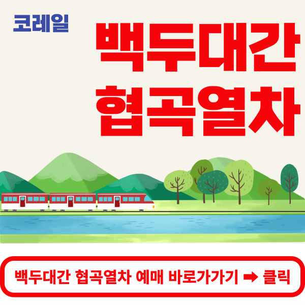 백두대간 협곡열차 예매