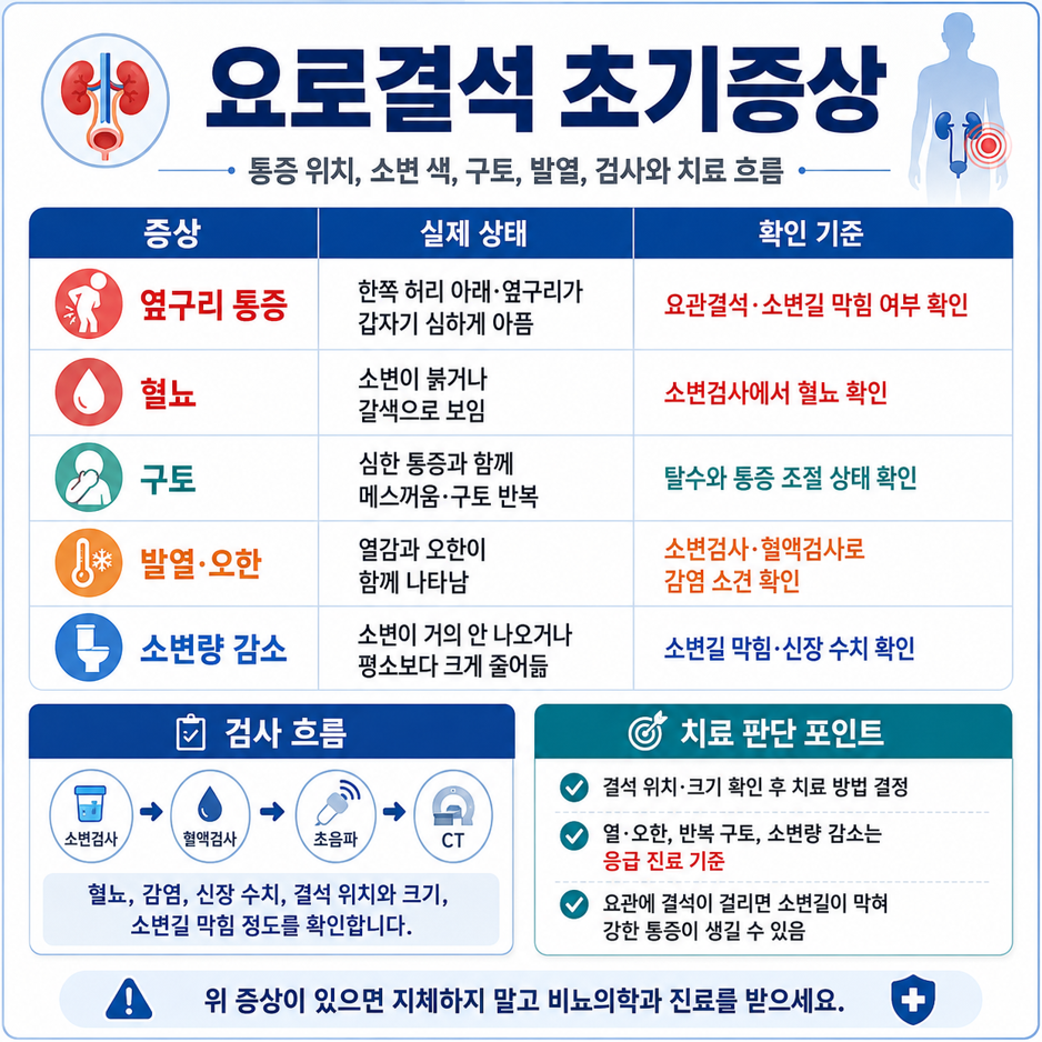 요로결석 초기증상에서 옆구리 통증, 혈뇨, 구토, 발열, 소변량 감소와 검사 기준을 정리한 의학 인포그래픽