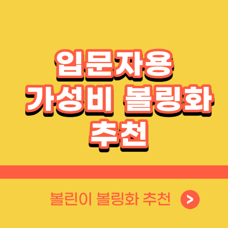 입문자 볼링화 추천