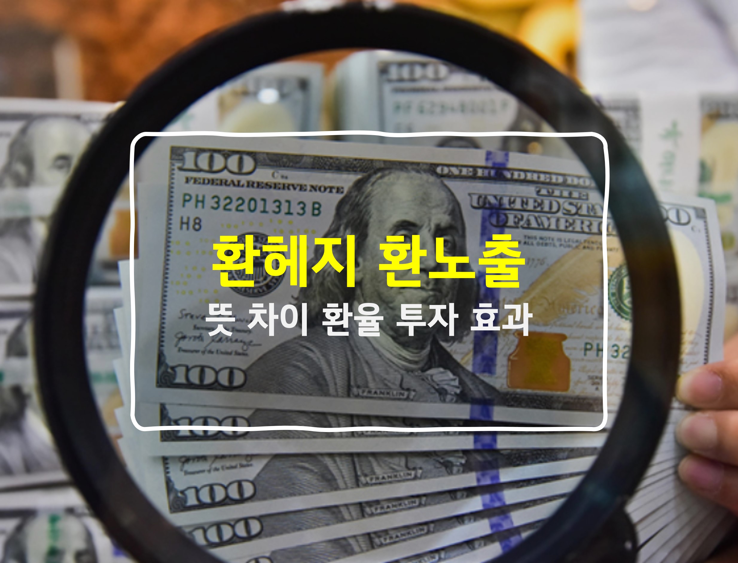 환헤지 환노출