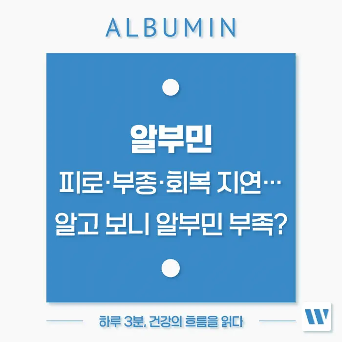 알부민의 효능 복용법 부작용