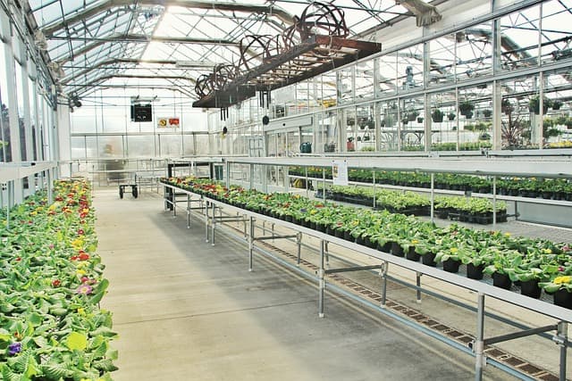 스마트 온실(Greenhouse 4.0): 자동화 기술이 결합된 첨단 농업