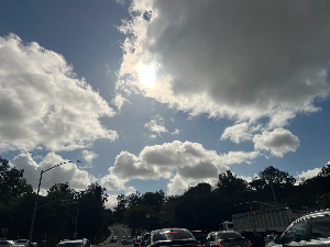 2025 충청권 청년 지원금 총정리