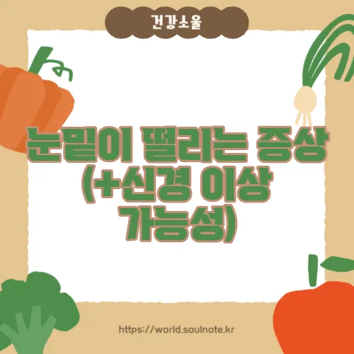 눈밑이 떨리는 증상 (+신경 이상 가능성)