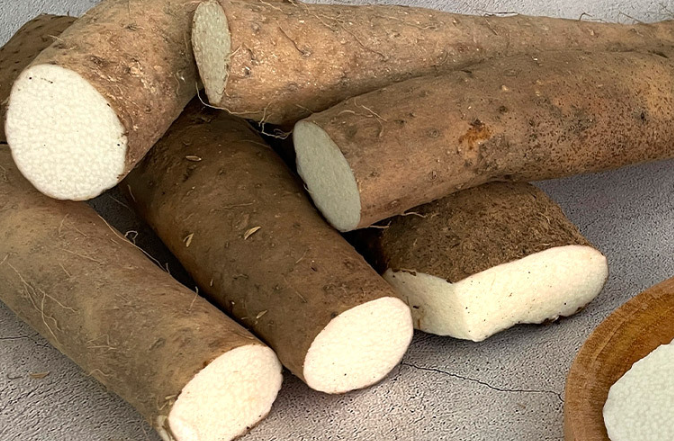 안동마모자농원