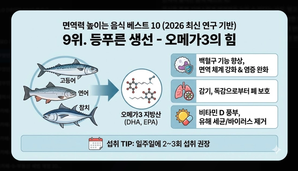면역력 높이는 음식 베스트 10 [2026년판] 강화 식품 섭취법 및 생활 습관 총정리