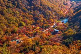 내장산 단풍터널 드라이브 코스 주차장 위치까지 총정리_2