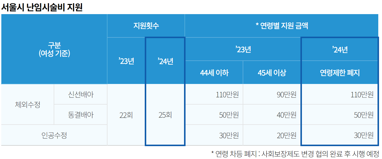 서울시 난임시술비 지원을 나타내는 그림입니다.