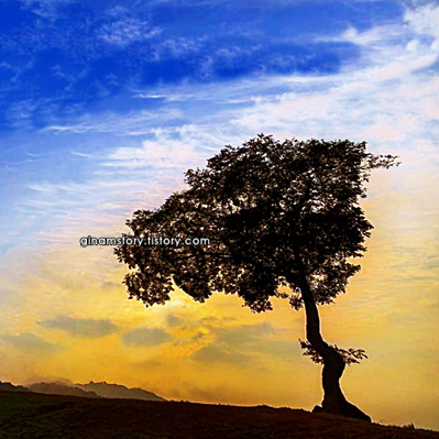 서울근교 드라이브하기 좋은곳