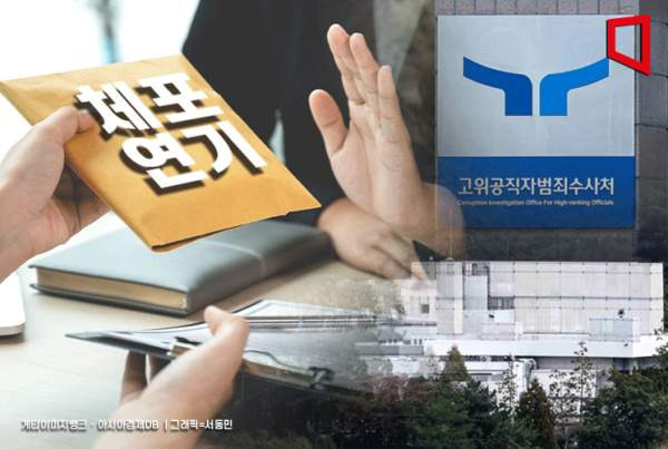 송진호 변호사는 정치 경력