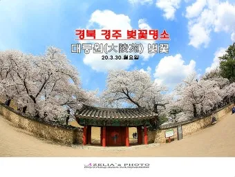 경주 가볼만한곳 베스트10 황리단길 대릉원 야경 산책로 추천_22