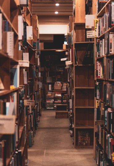 추억 관련 사진