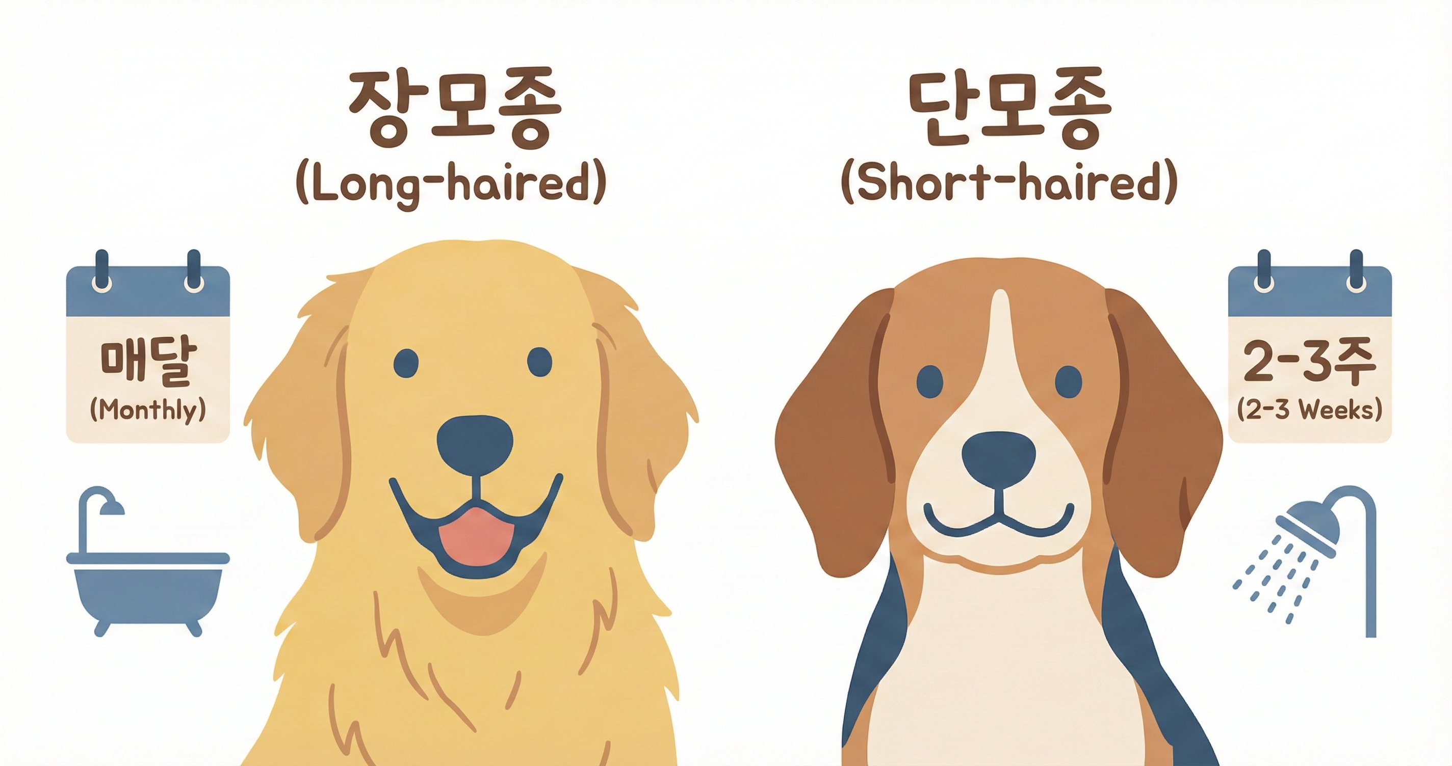 목욕 주기가 다른 장모종과 단모종 강아지 비교