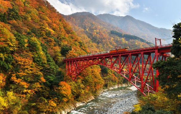 2025 가을 주왕산 단풍 절정 언제? 등산코스 추천 ❘ 청송 가을 여행