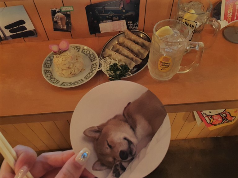 개가-자고있는-사진이-인쇄된-코스터