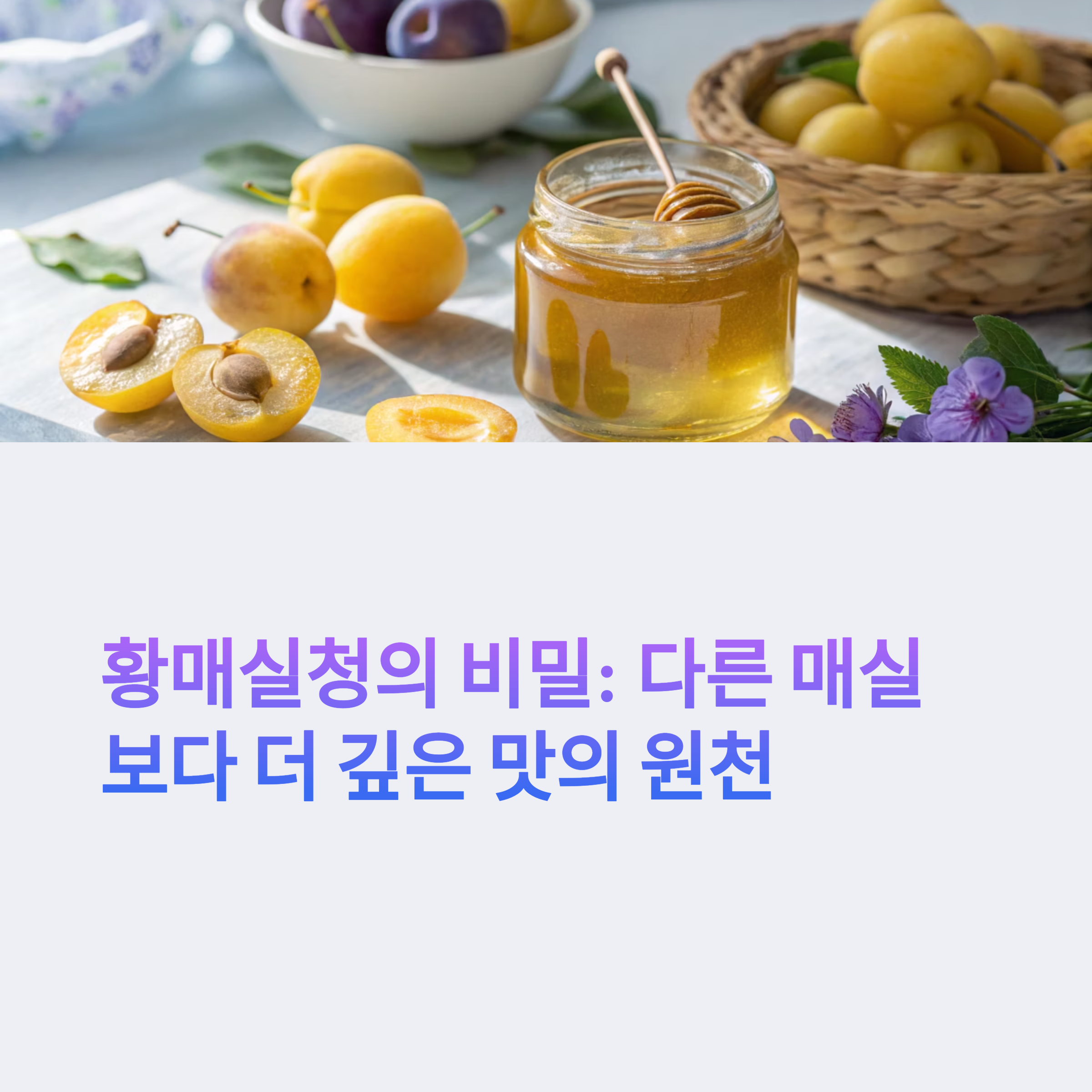 향이 다른 황매실, 매실청 맛이 깊어지는 진짜 이유