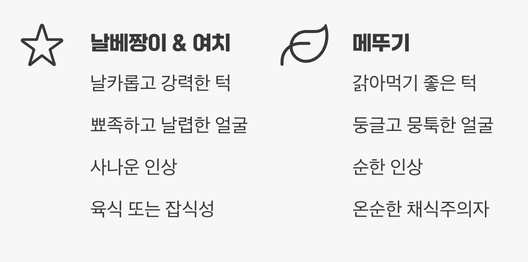 얼굴 모양과 턱의 비밀