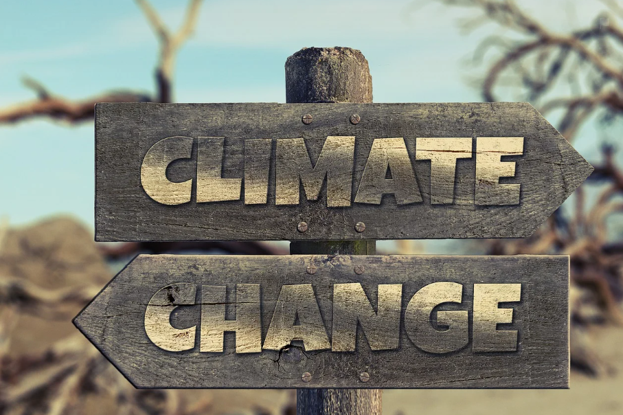 몬트리올 의정서의 모든 것