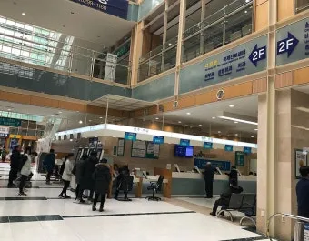 남미 황열병 예방접종 후기 경험과 준비사항_28