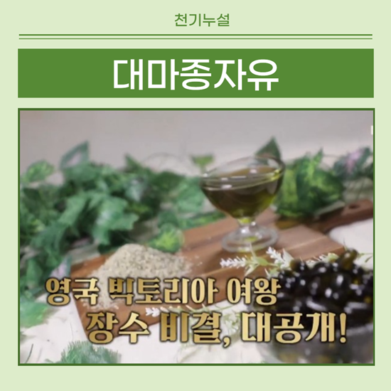 천기누설 대마종자유 썸네일