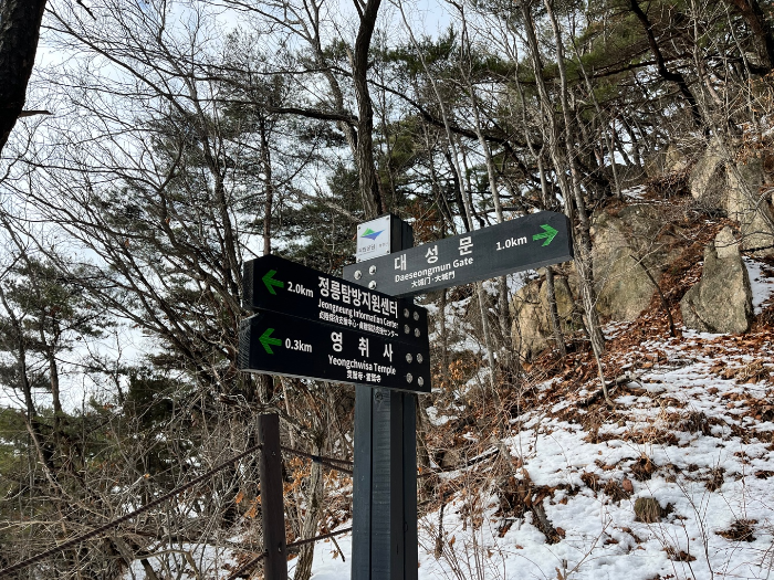대성문까지 1km