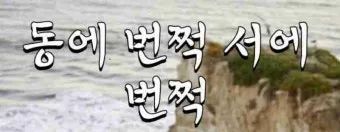동에 번쩍 서에 번쩍 동해 번쩍 서해 번쩍 헷갈리는 올바른 표현 정리_28
