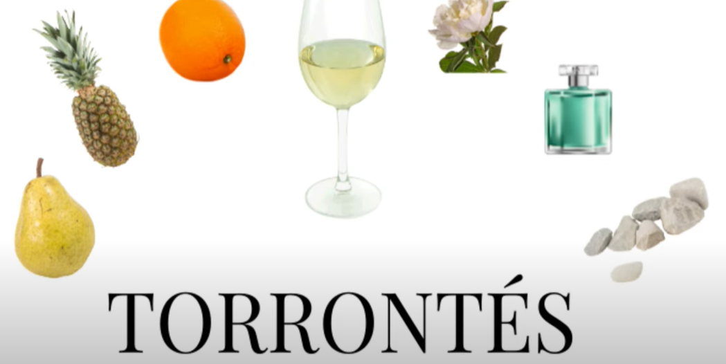 알라모스 토론테스