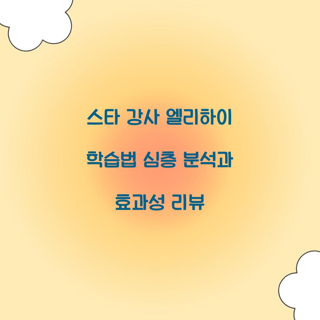 스타 강사 엘리하이 학습법