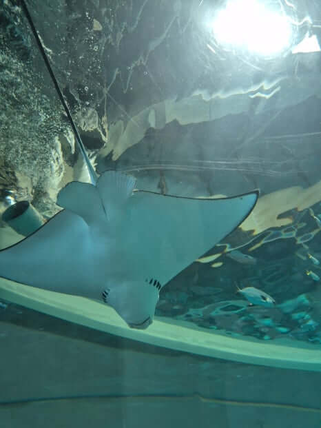 부산 아이랑 가볼만 한 곳