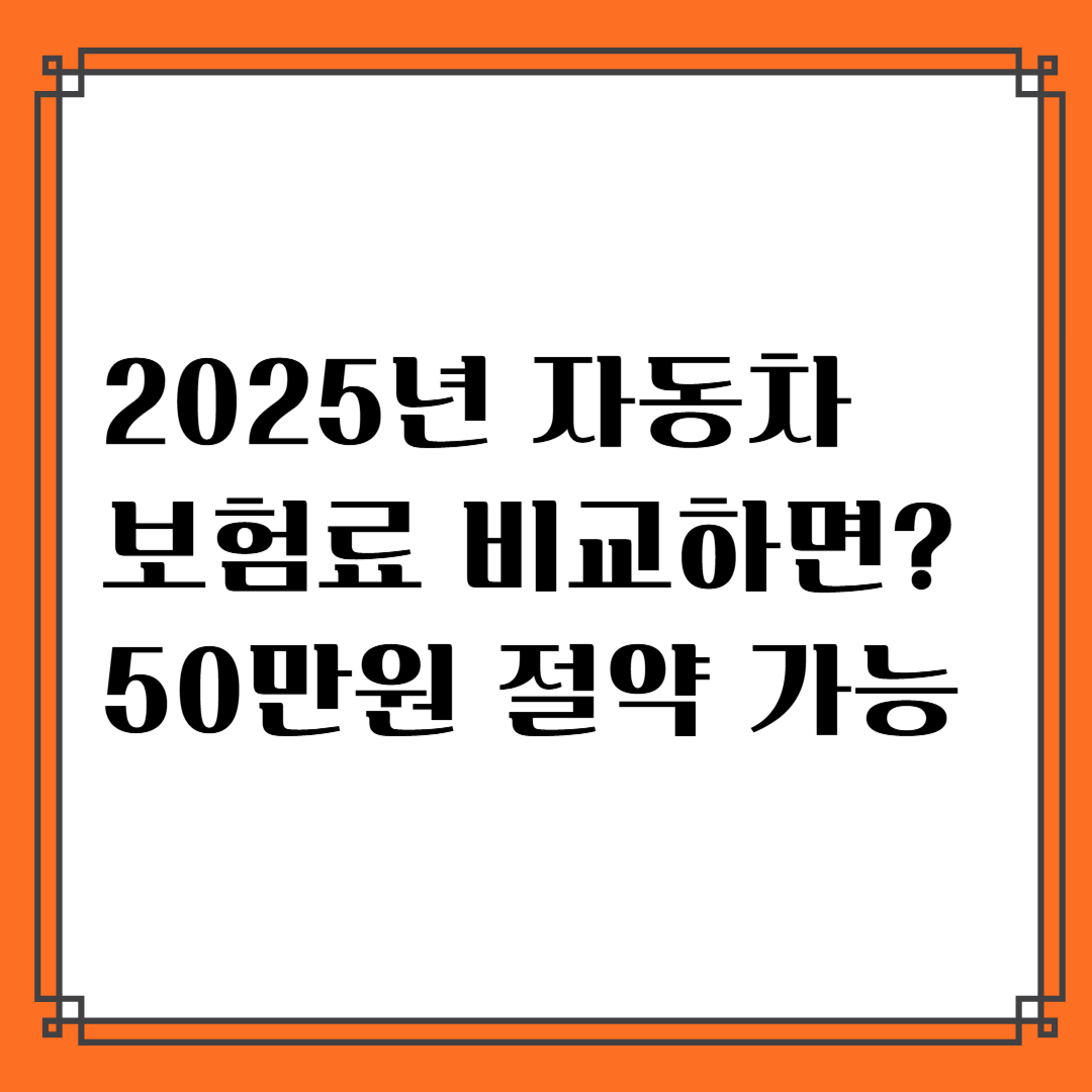 자동차 보험 견적 비교