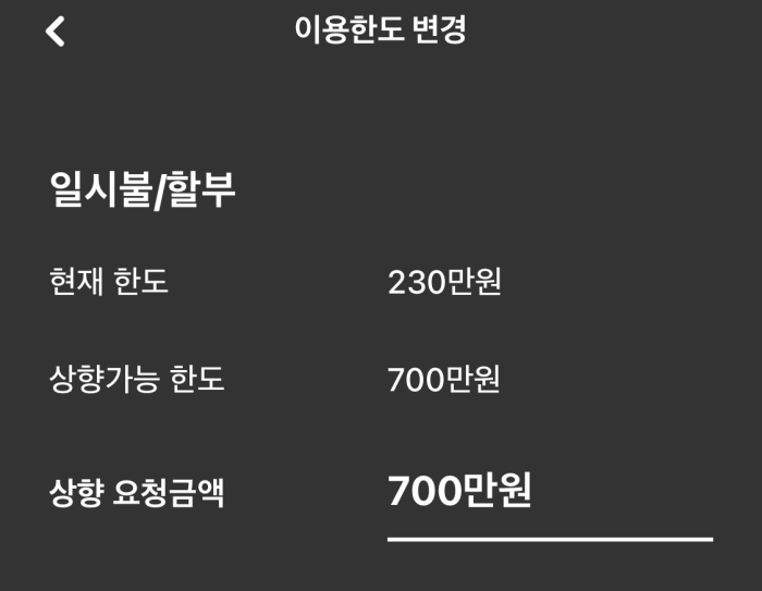 현대카드-이용한도-증액방법4