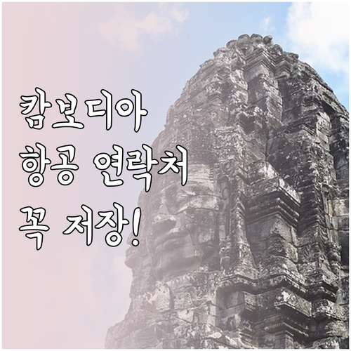 스카이 앙코르 항공 캄보디아 현지 연..
