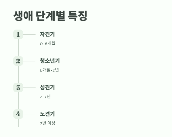 강아지 나이 계산법 완벽 정리 6